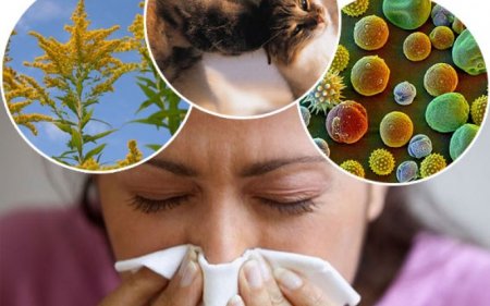 «Аллергиясы бар адамдарға коронавирус қауіп төндіруі мүмкін» – аллерголог-иммунолог Динара Талғатбекова