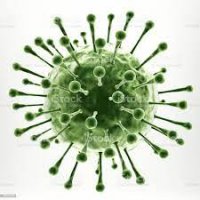 Биыл А вирустық гепатиті көбеюі мүмкін – эпидемиолог болжамы
