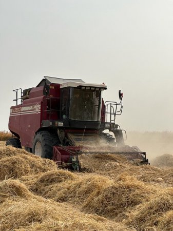 «Қауіпсіз егін жинау» акциясы ұйымдастырылды.