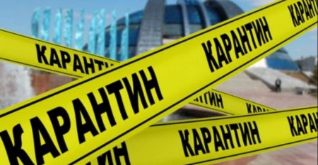 Қазақстанда метапневмовирусқа байланысты карантин енгізіле ме?