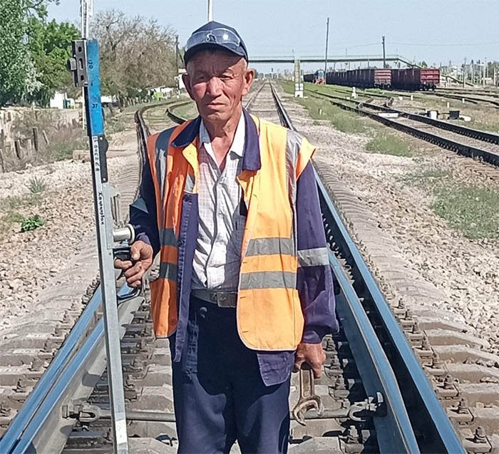 Теміржол саласының тарланы