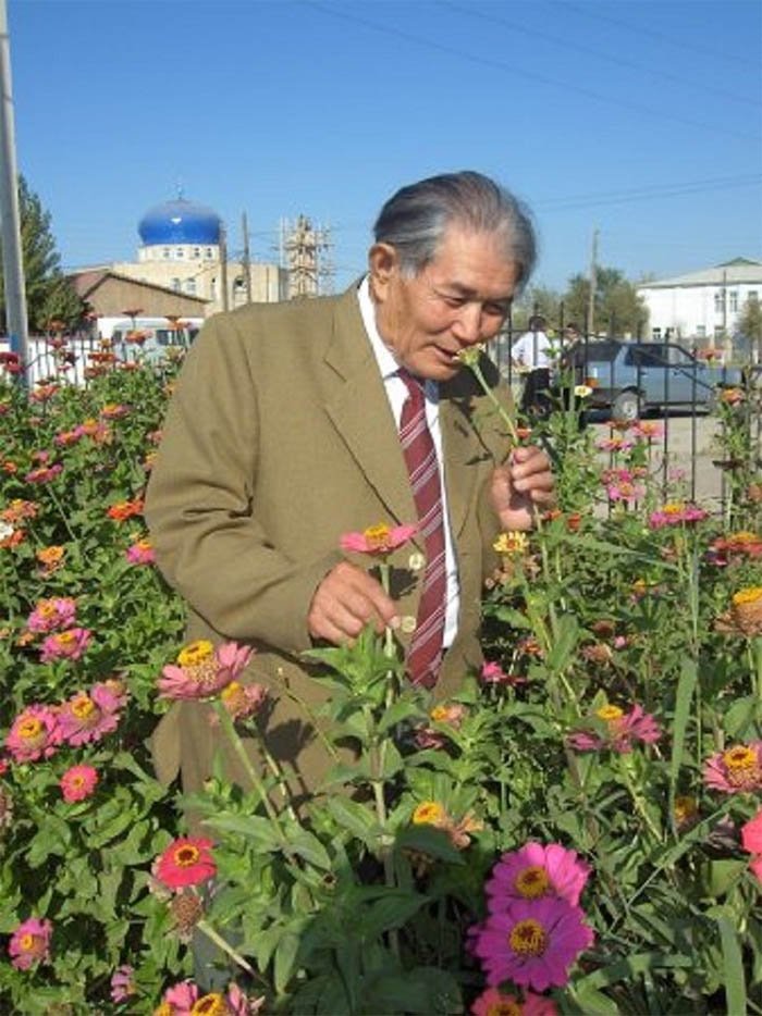 Сәби  жүректің сырласы