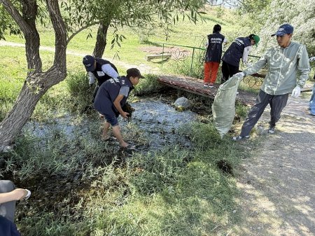 ЖАҢАҚОРҒАНДЫҚ ЖАСТАР ҚҰТТЫҚОЖА БҰЛАҒЫН ТАЗАРТЫП, КӨЗІН АШТЫ