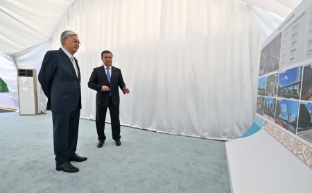 Президент «Мыңжылдық» аллеясын абаттандыру жобасымен танысты