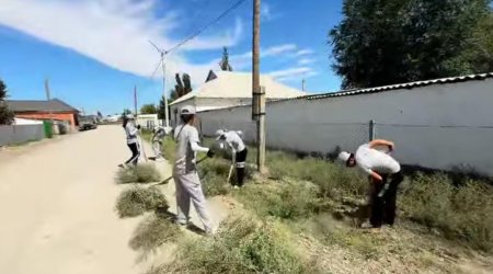 АРДАГЕРЛЕРДІ АРДАҚТАЙЫҚ