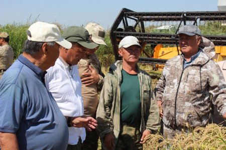 Сыр Сұлуы - Сыр үміті!