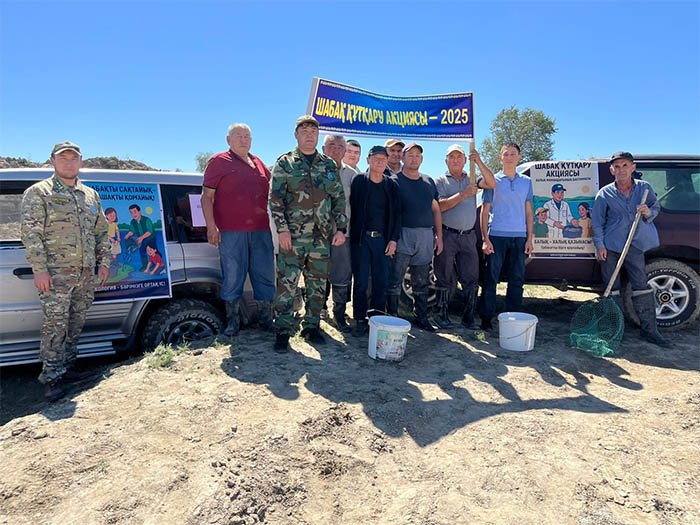 Шабақтарды құтқару – табиғатқа жанашырлықтың нақты көрінісі