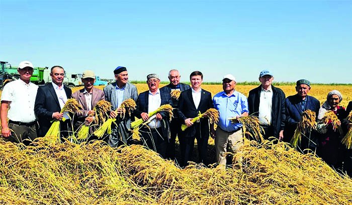 Дала күні мерекеленді