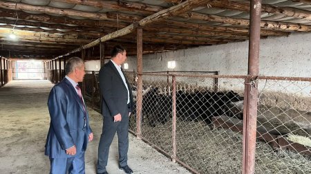 МАЛ БАСЫН КӨБЕЙТУ ЖӘНЕ ОНЫ АСЫЛДАНДЫРУ МЕН ӨНІМІН ҰЛҒАЙТУ БАҒЫТЫНДА АТҚАРЫЛҒАН ЖҰМЫСТАРҒА МОНИТОРИНГ ЖАСАЛДЫ