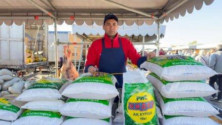 СЫР ЕЛІНЕН ЕЛОРДАҒА