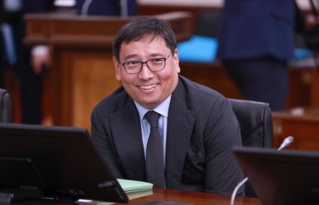 Ерболат Досаев лауазымды қызметке тағайындалды