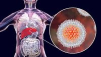 Вирусты гепатиттің түрлері, және оның алдын алу жолдары