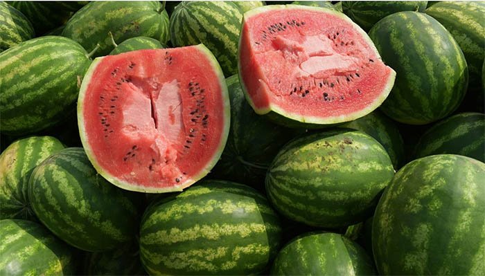 ЖАҢА БРЕНД – БЕСАРЫҚ ҚАРБЫЗЫ