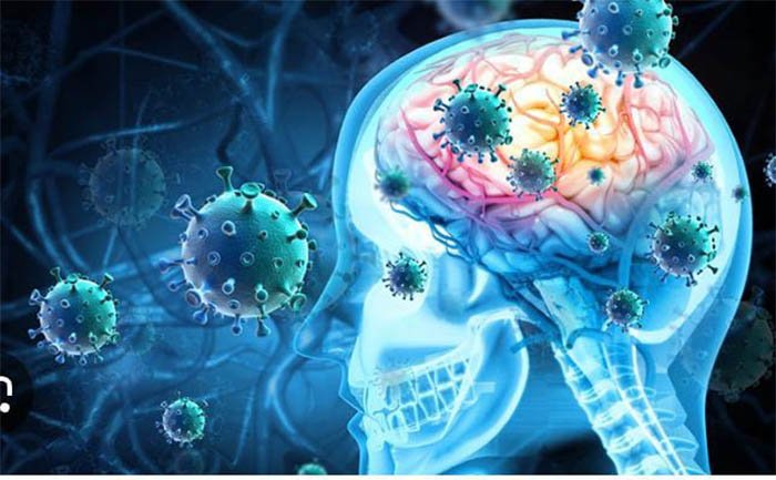 Менингококкты инфекциясы жайлы