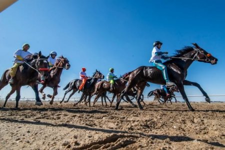 «АЛТЫН КҮЗ – 2025» ұлттық бәйгесі өтті