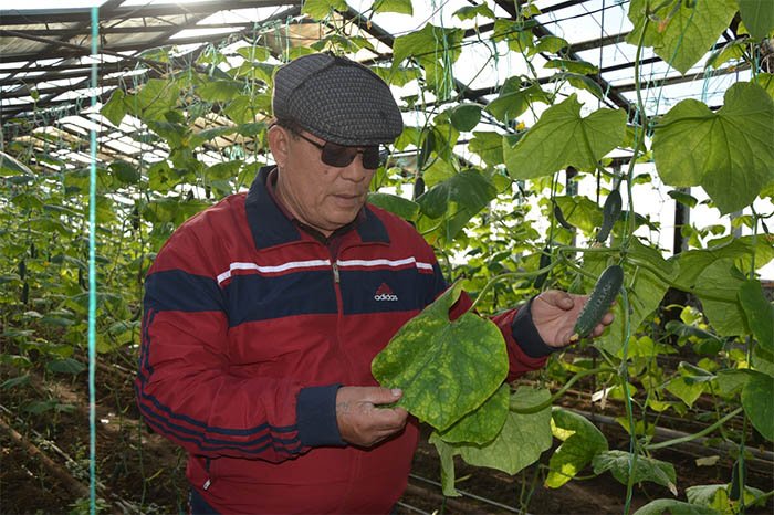 Жанашыр бағбан мәуелі баққа жан бітіреді