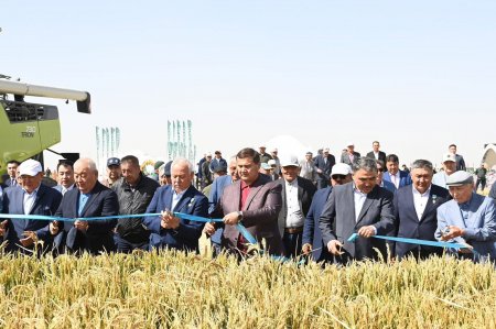 Сыр өңіріндегі егіс алқаптары әртараптандырылуда