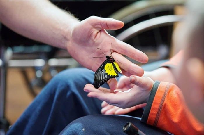 Балаларға қызмет көрсететін ұйымдарға мемлекеттік бақылаудың жаңа тәртібі