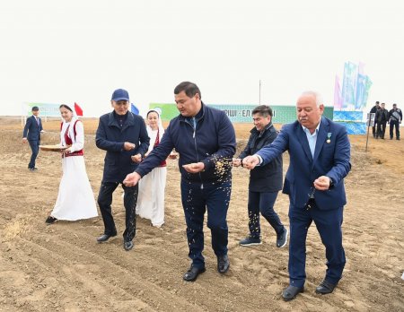 СЫР ӨҢІРІНДЕ ЕГІН АЛҚАБЫНА АЛҒАШҚЫ ДӘН СЕБІЛДІ