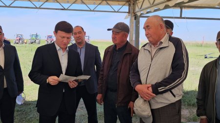 ЖАҢАҚОРҒАНДА АЛҚАПҚА ДӘН СЕБІЛДІ