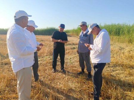 АУДАН ӘКІМІ ЕГІН АЛҚАПТАРЫ МЕН СУ ШАРУАШЫЛЫҒЫ НЫСАНДАРЫН АРАЛАДЫ