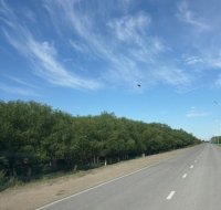 Қазақстанда 40 градусқа дейін аптап ыстық болады