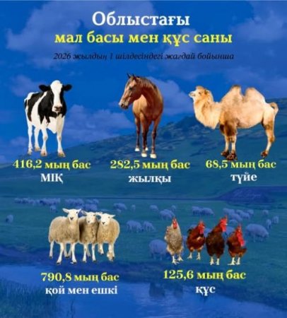 Аймақта төрт түлік мал басы өсіп, өнім өндіру тұрақты ұлғаюда.