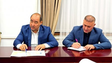 ЖАҢАҚОРҒАНДА МАҚТА ӨСІРУ ЖӘНЕ ОНЫ ТЕРЕҢ ӨҢДЕУ ЖОБАСЫ ІСКЕ АСЫРЫЛАДЫ