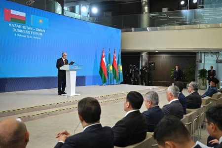 Қасым-Жомарт Тоқаев экономиканың негізгі салаларында бірлескен жобаларды жүзеге асыру тәжірибесіне егжей-тегжейлі тоқталды
