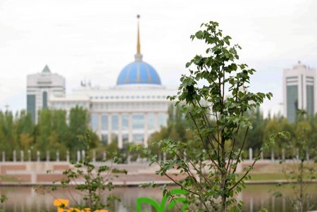 Мемлекет басшысы Премьер-министрмен және Құрылтай төрағасымен консультациялар өткізді
